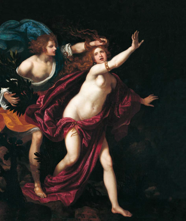 Apollo e Dafne di Giovanni Biliverti